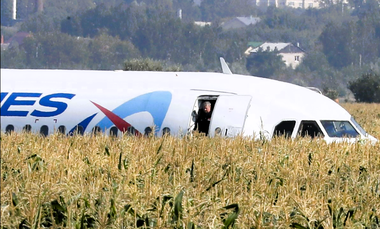 Einfach unglaublich! Vollbesetzte Airbus geht der Sprit aus - Notlandung in einem Weizenfeld!
