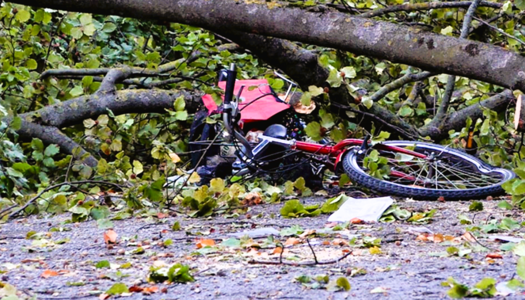 Sturmalarm in Deutschland! Stürzende Bäume verletzen Menschen und richten schweren Schaden an!