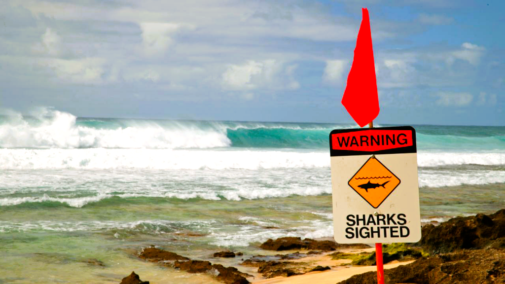 Hai-Angriff an Badestrand! Wasser war nur kniehoch! Blutige Attacken, mehrere Touristen schwerverletzt!