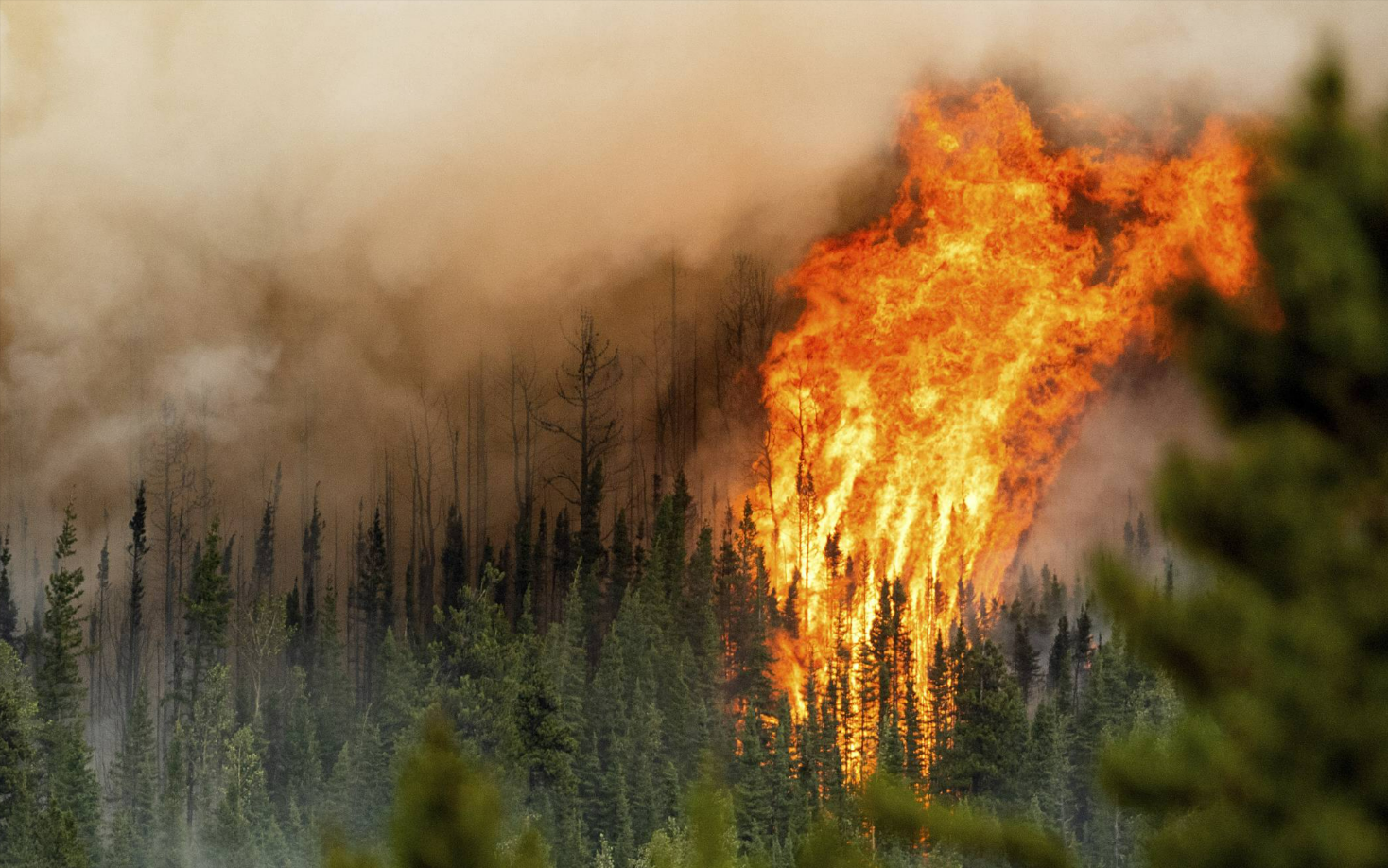 Brocken-Feuer! Hunderte Touristen evakuiert, Feuerwehr im Dauereinsatz: "Rettet der Regen den Brocken?"