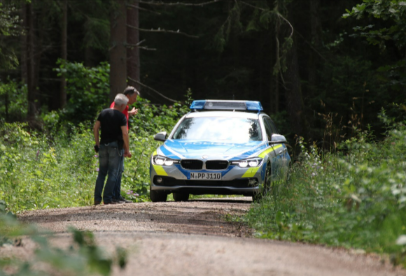 Hinrichtung in Schleswig-Holstein! Leiche im Wald entdeckt - Erste Spuren deuten auf Hinrichtung hin