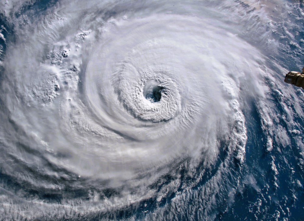 Sturm tötet Mutter und zwei Babys! Säuglinge von Baum erschlagen - Tragödie durch Hurrikan Helene