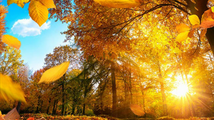 25 Grad! Wetterwende im Oktober, bekommt Deutschland einen "Goldenen Herbst"? Hochsommer-Feeling!