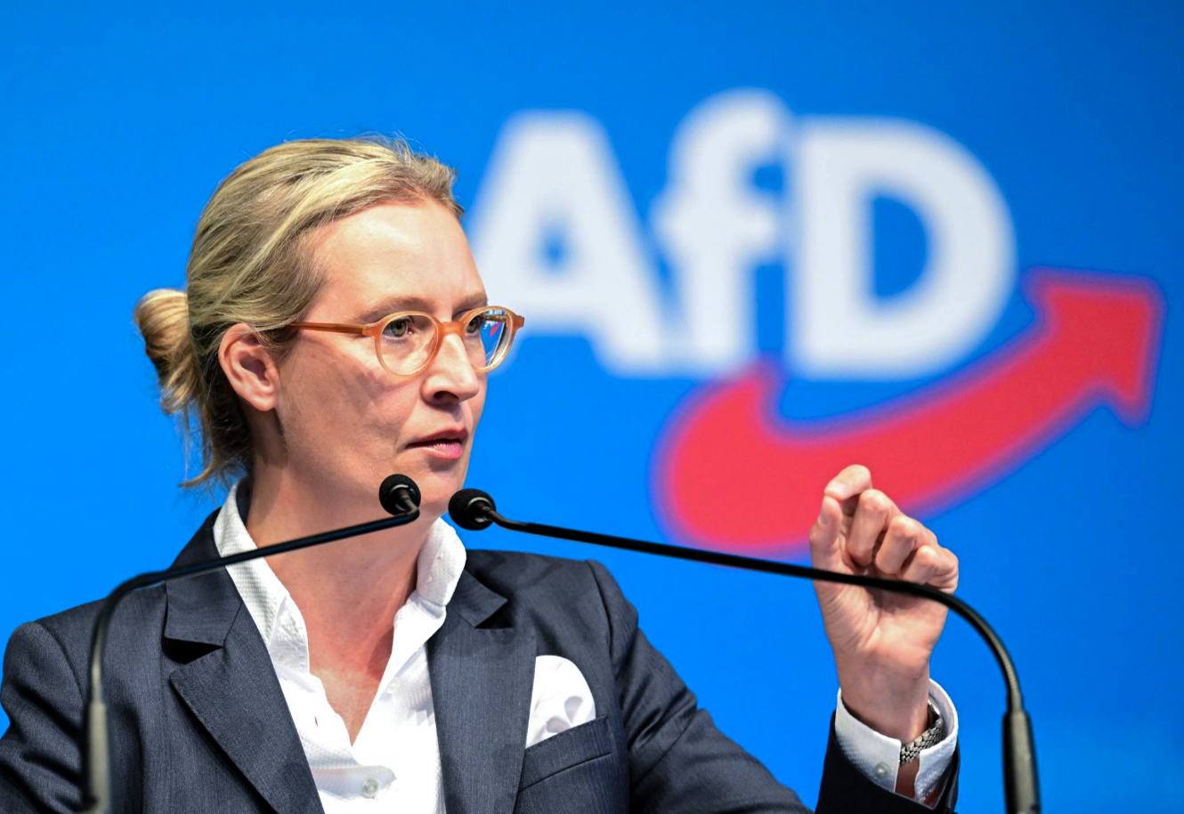 AfD-Verbot noch dieses Jahr?! Deutsche Geheimdienste ermitteln und erheben schwere Vorwürfe!