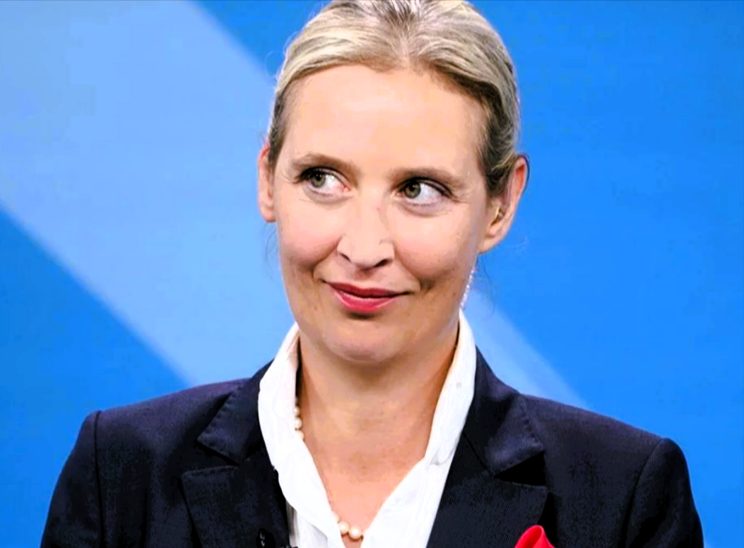 Zukünftig kein Bürgergeld für Ausländer? - So sehen die Pläne von Alice Weidel aus