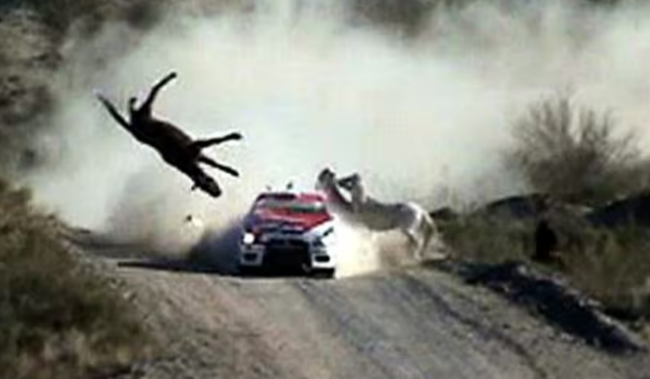 Terrifying Scenes at Car Race! Vehicle Plows into Crowd with Devastating Consequences!