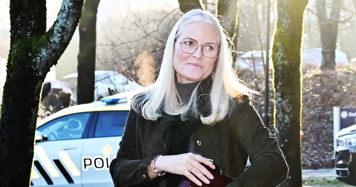 Epstein Files Shock: Over 1,000 Mentions of Crown Princess Mette-Marit — What’s Going On?