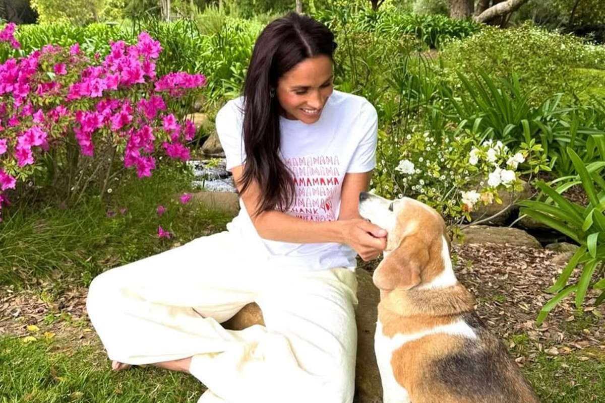 How Meghan and Harry Fell for Mamma Mia: The Rescue Beagle's Sweet Journey