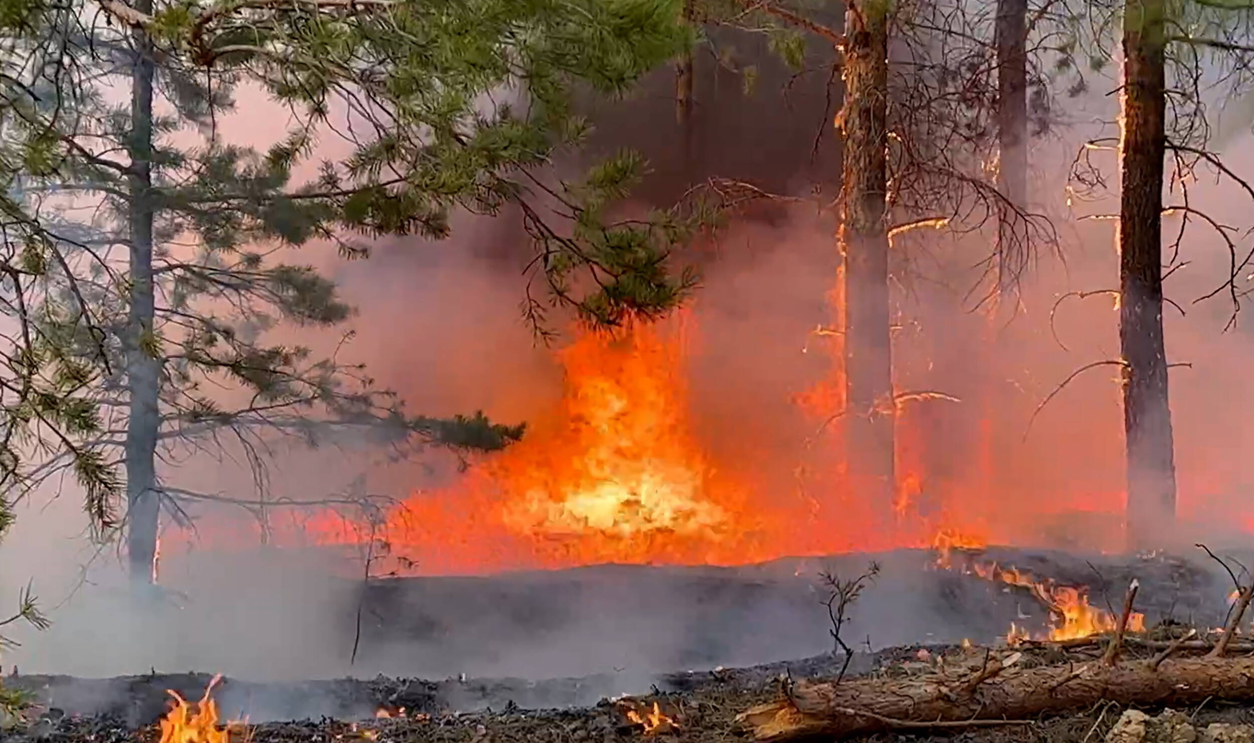 Feuer am Brocken! 100 Menschen evakuiert - Waldbrand tobt im Harz! Löschflugzeuge starten!