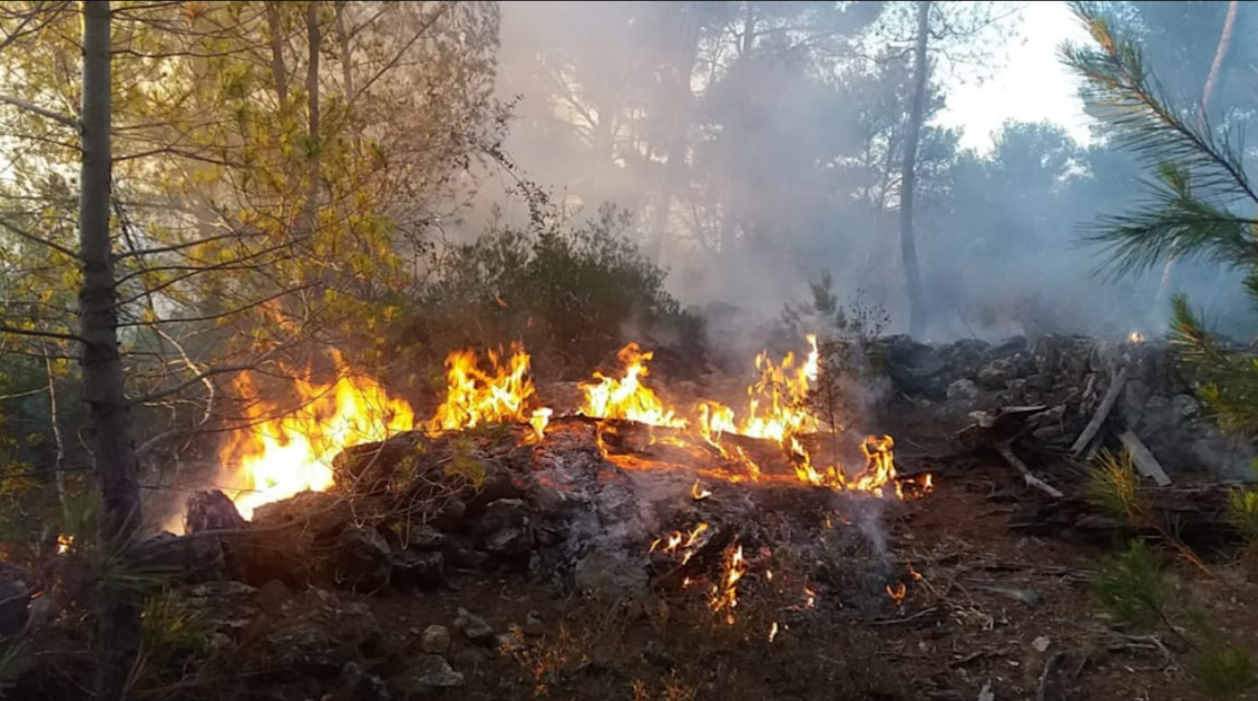 Deutscher Ex-Soldat auf Mallorca verhaftet! 8 Jahre Gefängnis - er hat einen Waldbrand gelegt!