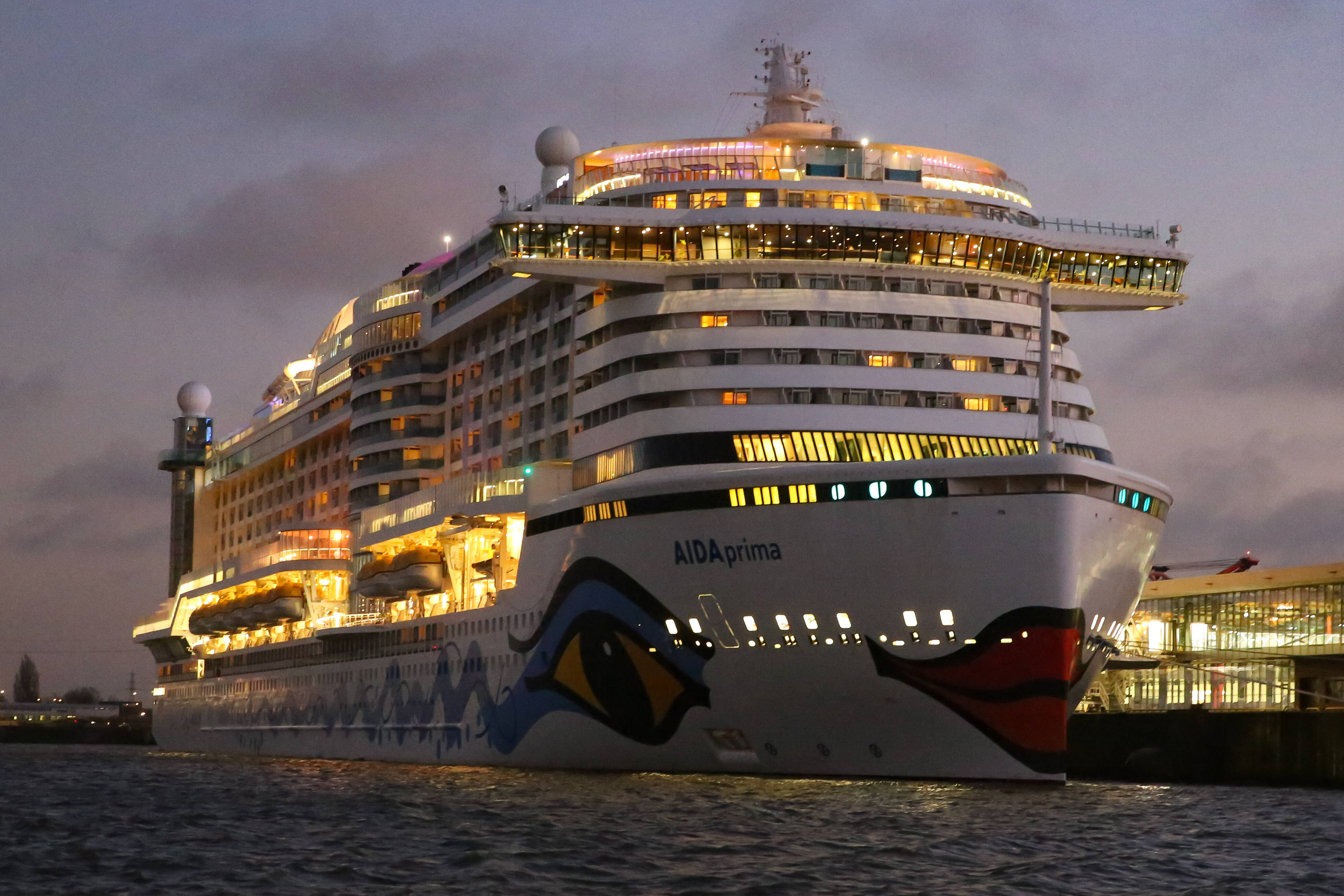 Zwei Tote auf Kreuzfahrtschiff! Tödlicher Unfall auf Luxusliner fordert zwei Opfer - was ist geschehen?