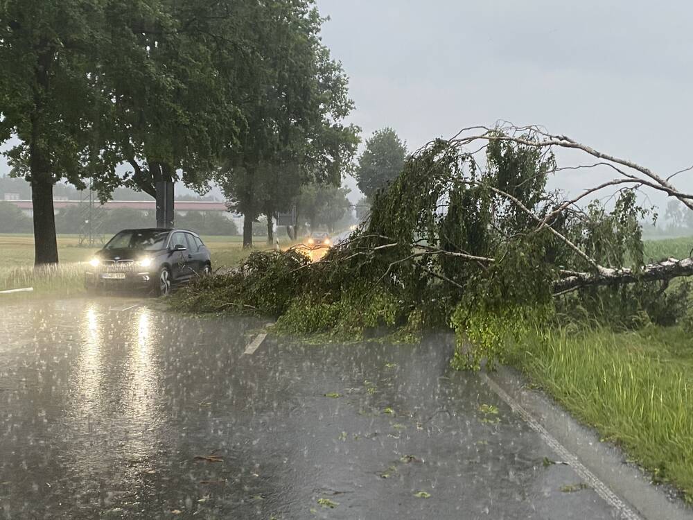 Wetter-Chaos! Sturm schleudert Baum auf Fahrzeug - Unfallopfer erliegt den Verletzungen