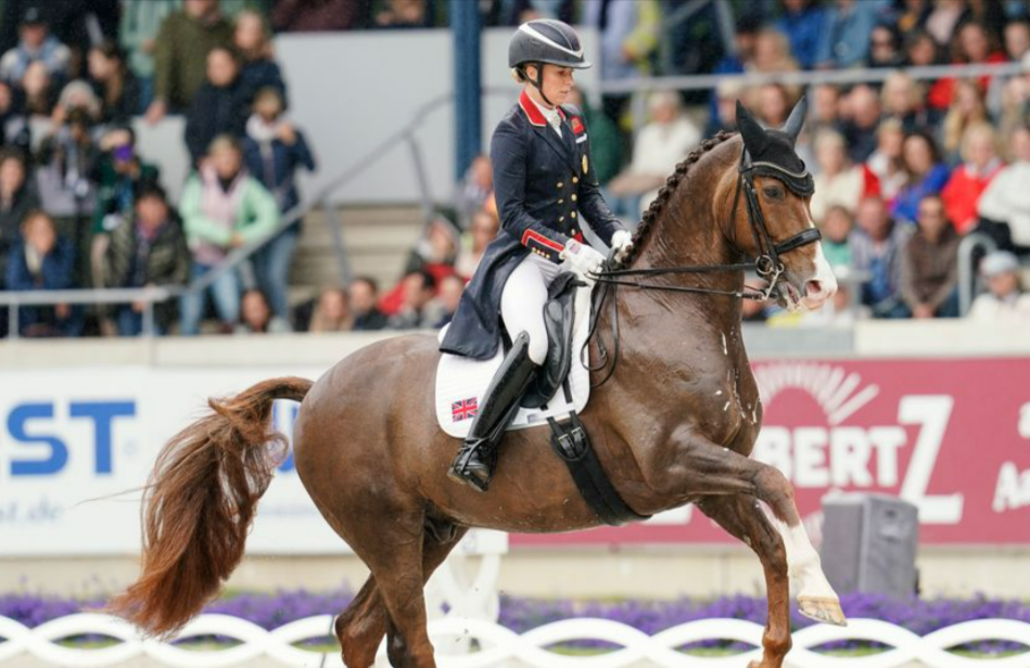 Olympia-Skandal! Gold-Reiterin schlägt Ihr Pferd 24 mal - in einer Minute! Video aufgetaucht