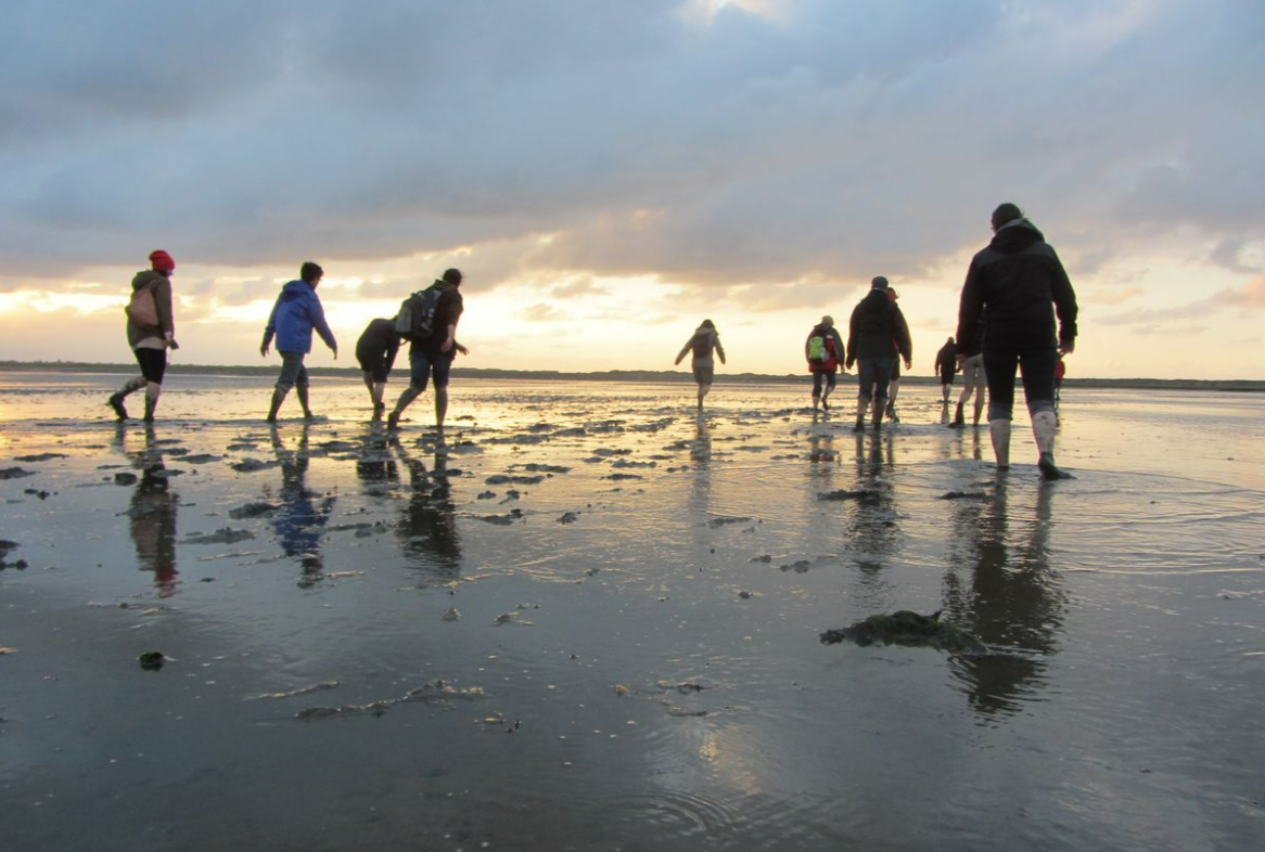 Tödliche Bakterien in Nord- und Ostsee! Mitten in der aktuellen Ferienzeit: Gefahr auf Ansteckung steigt