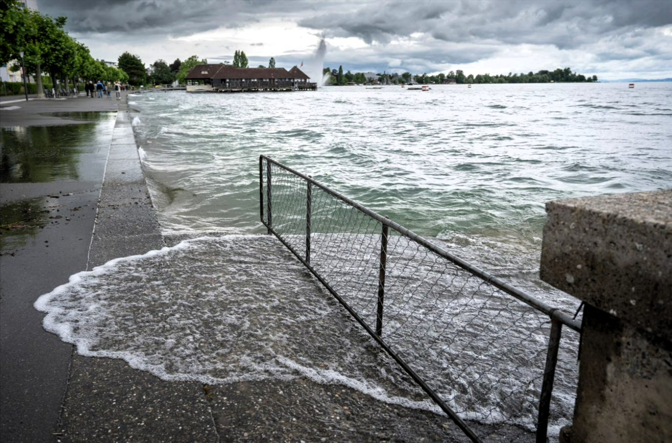 Elbe, Spree und Neiße treten über die Ufer! Katastrophe droht: Dramatische Bilder - Wann erreicht die Flutwelle uns?