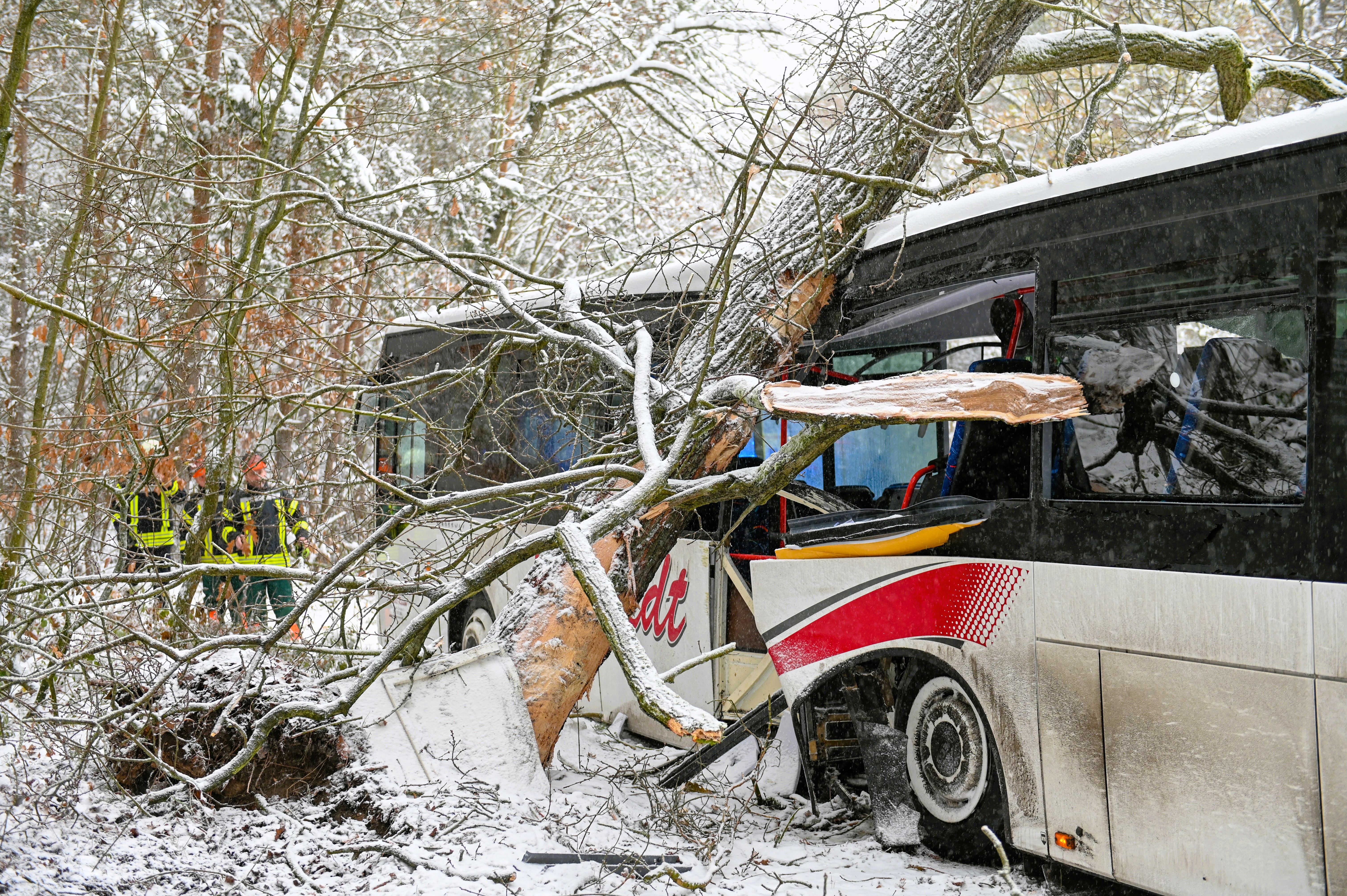 Junge Mann klaut Linienbus und hinterlässt eine Schneise der Verwüstung