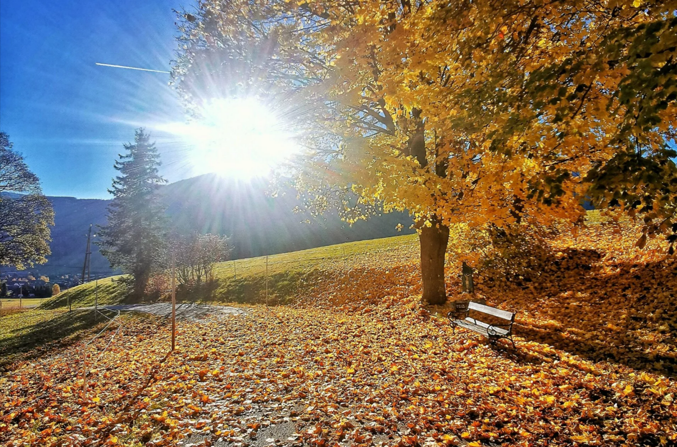 Wetter-Hammer! Frühling im Herbst - So wird das Wetter die nächsten Tage