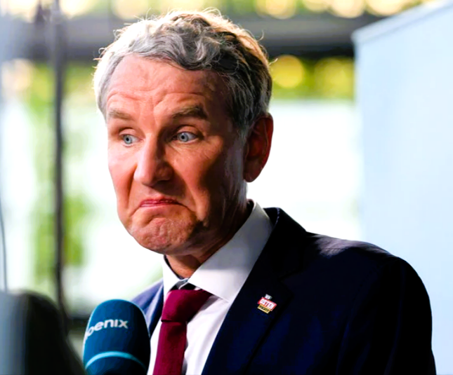 AfD vom Verfassungsschutz als rechtsextrem eingestuft – So stehen die Bundesbürger zu einem Verbot